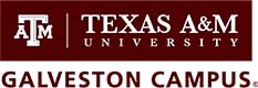 TEXSAS A&M
