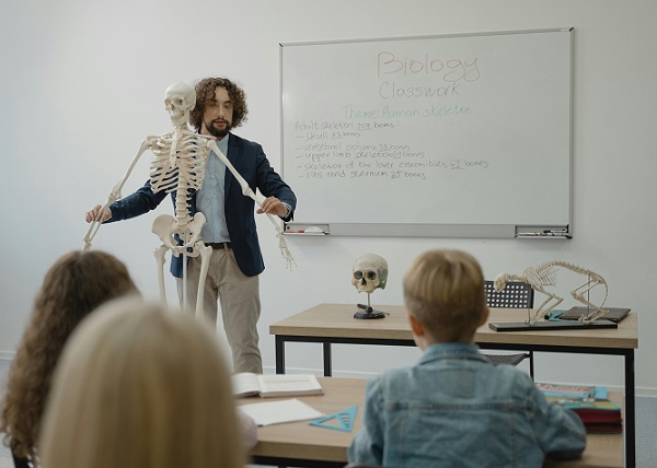 School Teaching