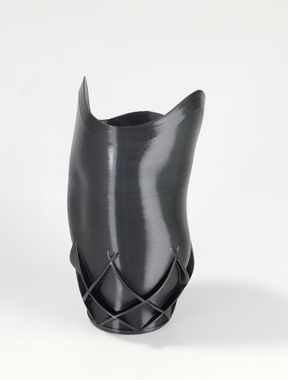 3D printed Prosthetic socket